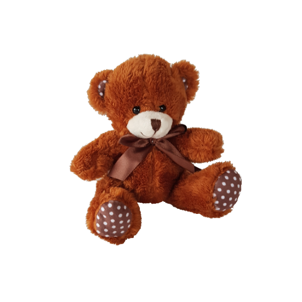 Little Ted Teddy Bear – SweetAs Gifts